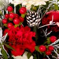 Christmas Carnations mix